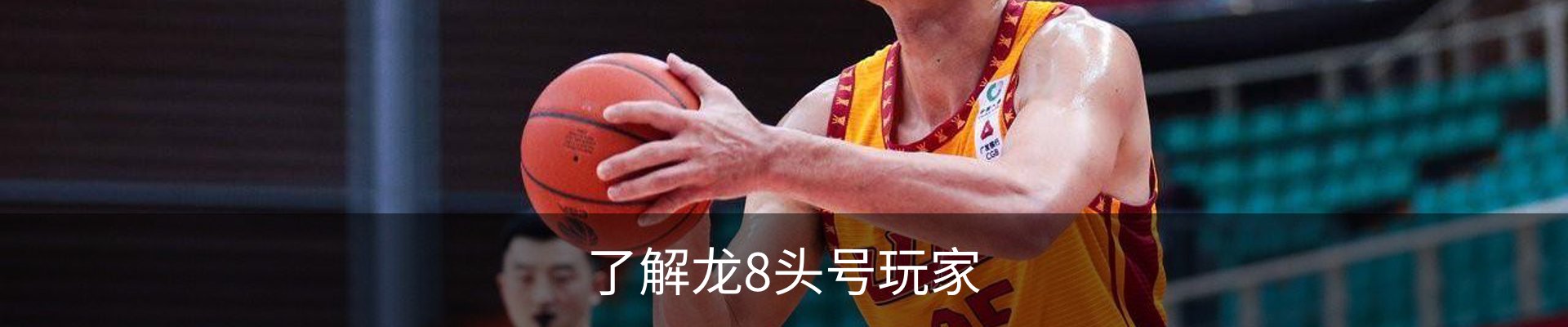 了解龙8头号玩家